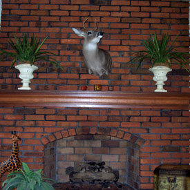 Desert Tile and Grout Care cleaned up this brick fireplace