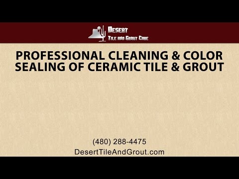Professional Cleaning and Color Sealing of Ceramic Tile and Grout
