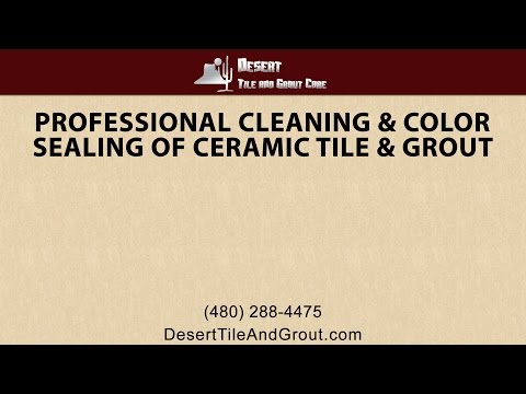 Professional Cleaning and Color Sealing of Ceramic Tile and Grout