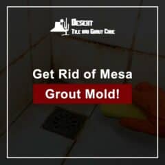 Get Rid of Mesa Grout Mold!