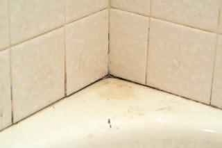 Get Rid of Mesa Grout Mold!