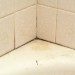 Get Rid of Mesa Grout Mold!
