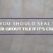 seal shower grout tile if cracked